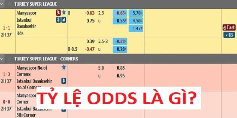 Một số loại tỷ lệ odds phổ biến nhất